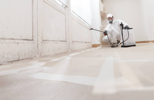 24/7 Emergency Commercial Mold Remediation experts in Hampton, MD