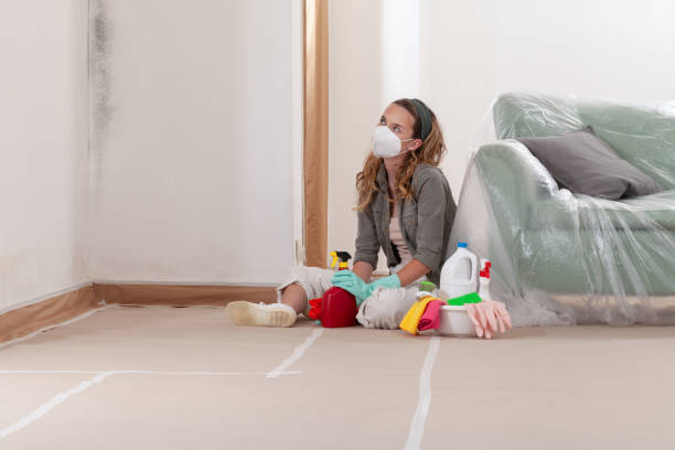 Reliable Commercial Mold Remediation contractor in Hampton, MD by WQB Mold Removal
