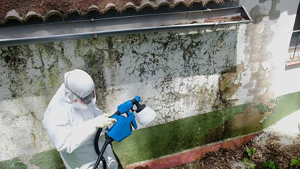 Top rated local Commercial Mold Remediation specialists in Hampton, MD